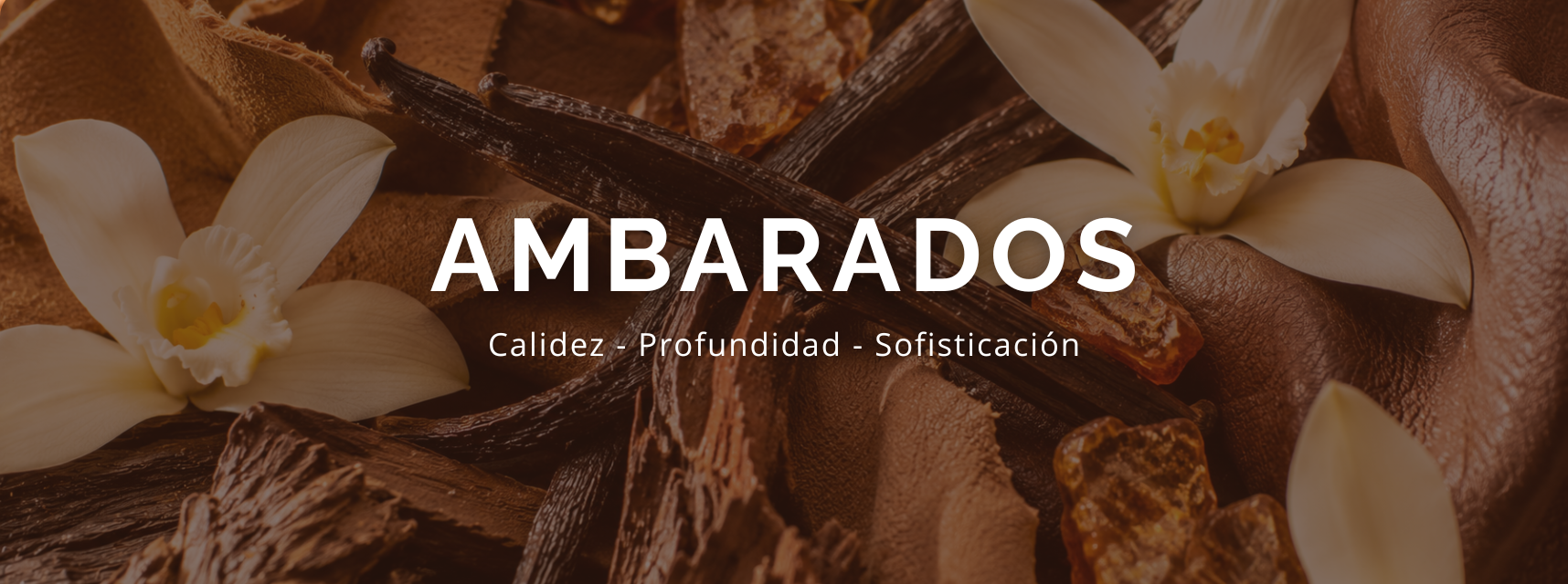 AMBARADOS